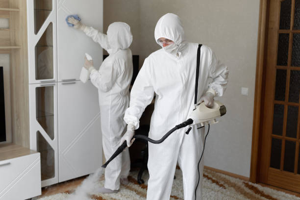 24/7 Emergency Odor Removal experts in Harrisonville, MO